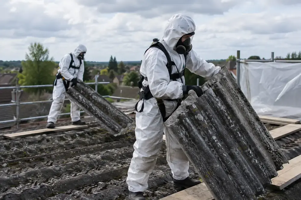Photograph of Asbestos Removal Specialists